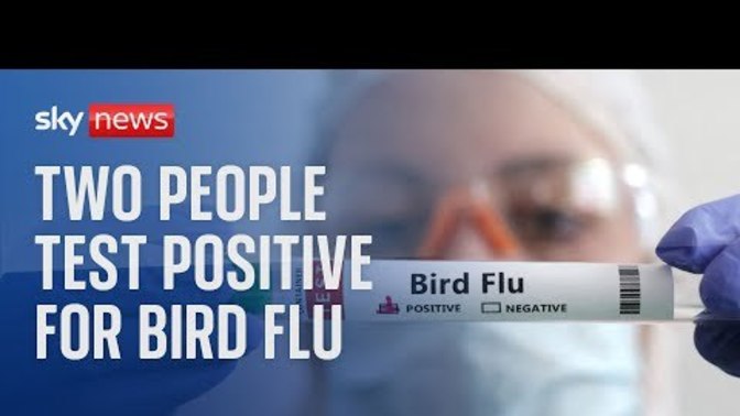 Bird flu could become the next human pandemic?