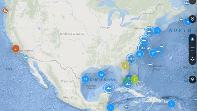 Based upon this map, where would you go swimming/surfing?