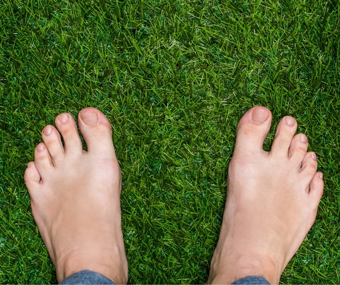 Are humans the only species with useless feet?