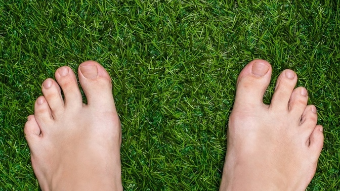Are humans the only species with useless feet?