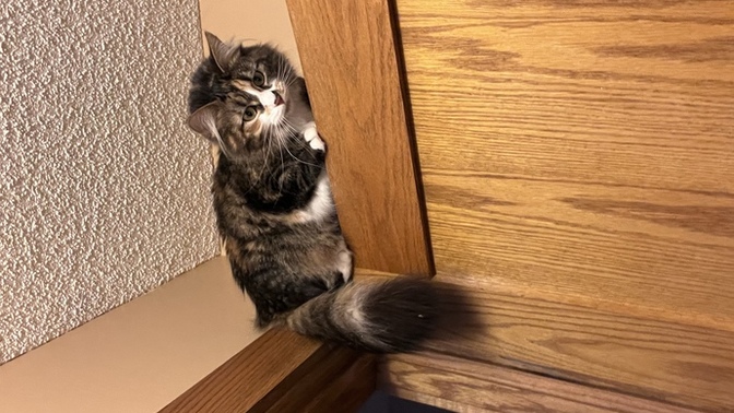 Who’s the cutest?