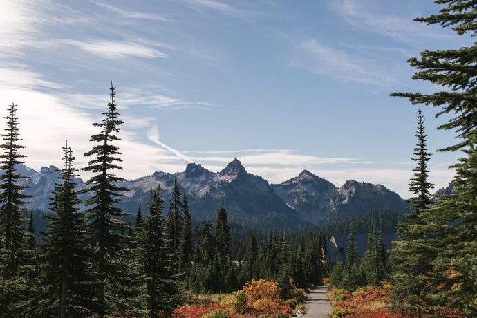 Which of these towns would you rather live in ?