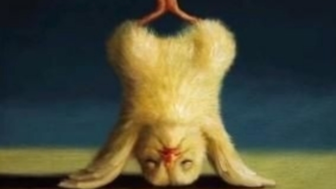 Is yoga enough to stay fit?