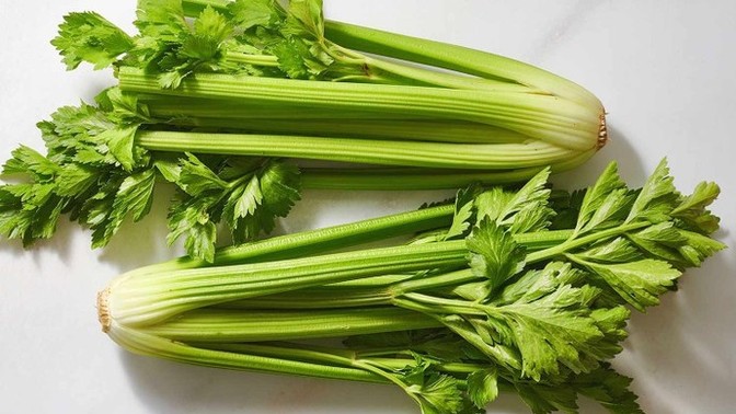 Celery or Celeriac?