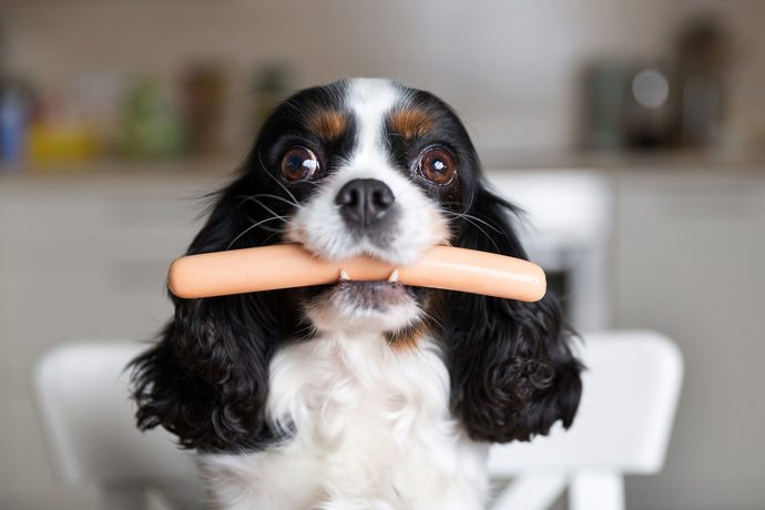 Do you follow the 5 second rule?