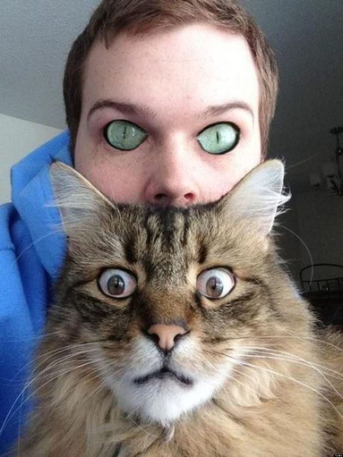 What would you think if you looked in your partners eyes and noticed their pupils were skinny like a cats eyes?