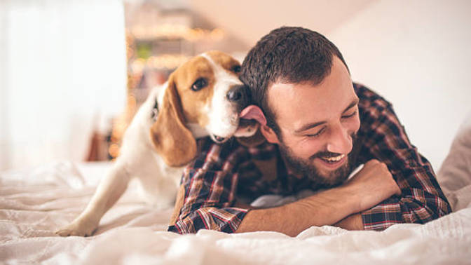 You've been given an ultimatum, it's either them or the dog---are you breaking up?