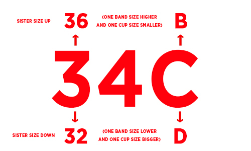 Why so many girls lie about their breast size?