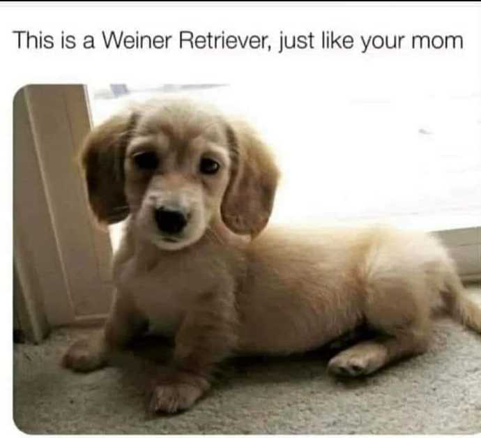 I have a lack of answers.
