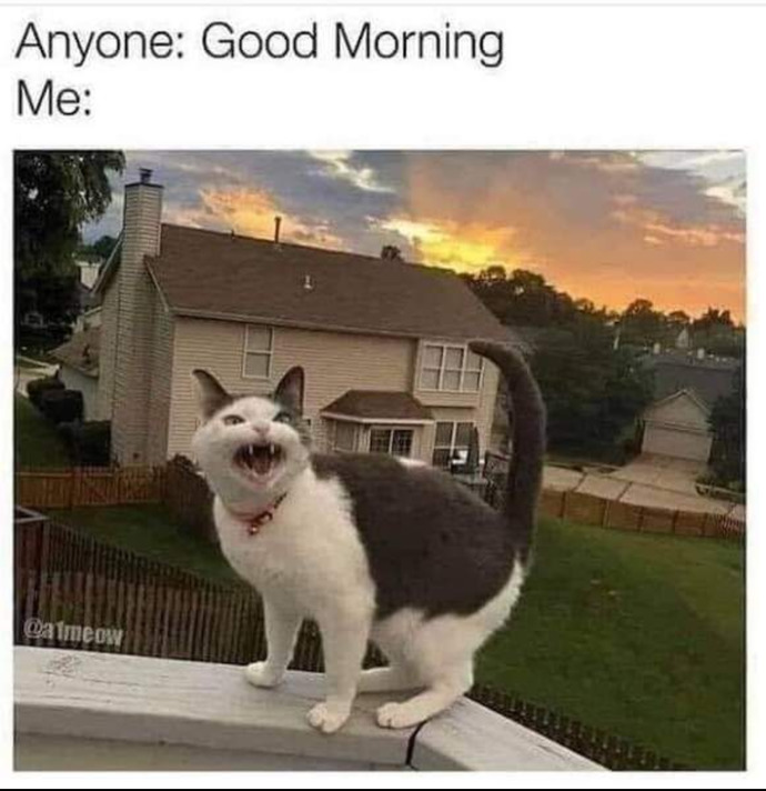 Are you a morning person? Why/why not?
