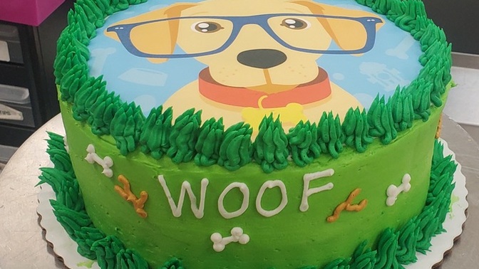 Made a cake what do we think?