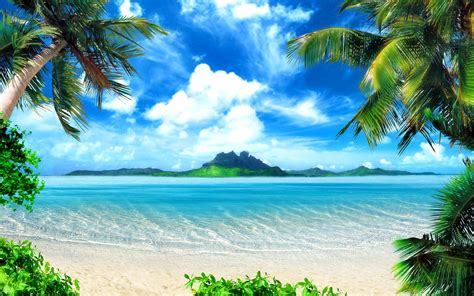 What are women doing on their phones while being on the beach?