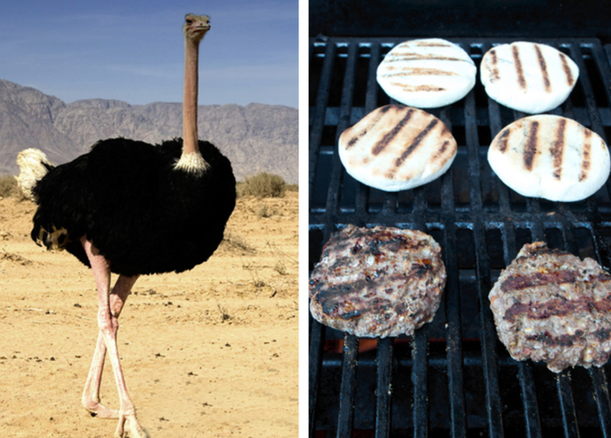 What's one food that you want to try?