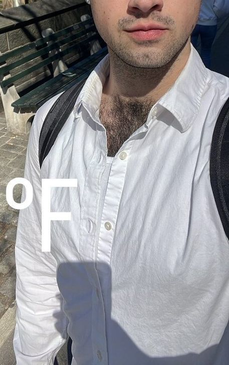 If you could clearly see a guy has hairy chest?