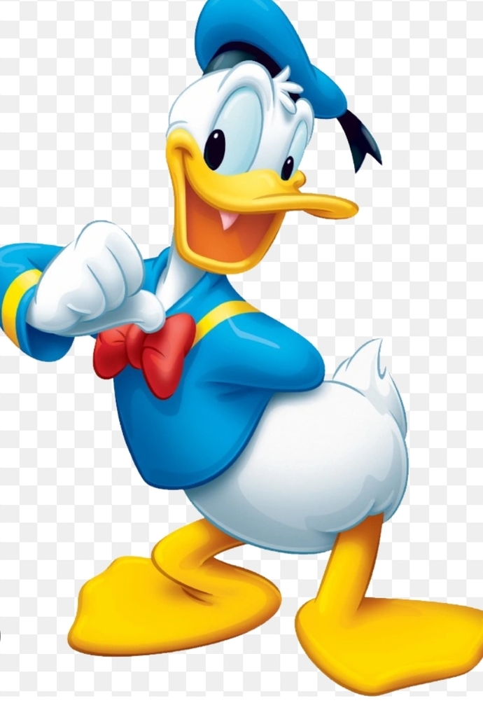 Why does Donald Duck put a towel around his waist after showering.. he has no pants?