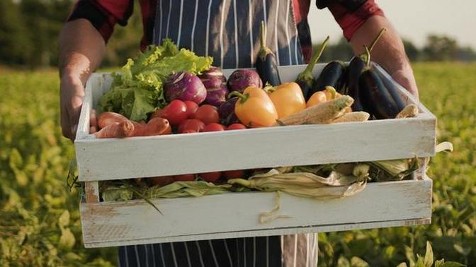 Do you like/eat organic food?