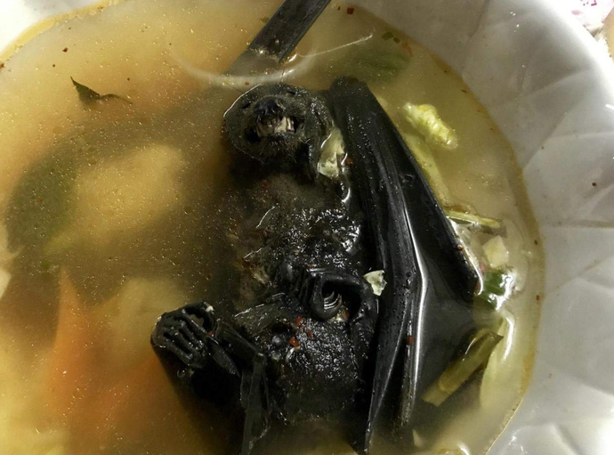 Bat Soup