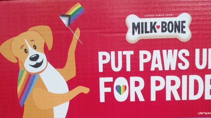 Does your dog support gay pride?