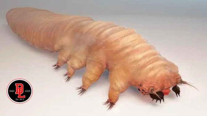 Do you know there are tiny mites called Demodex living and having sex on your face?