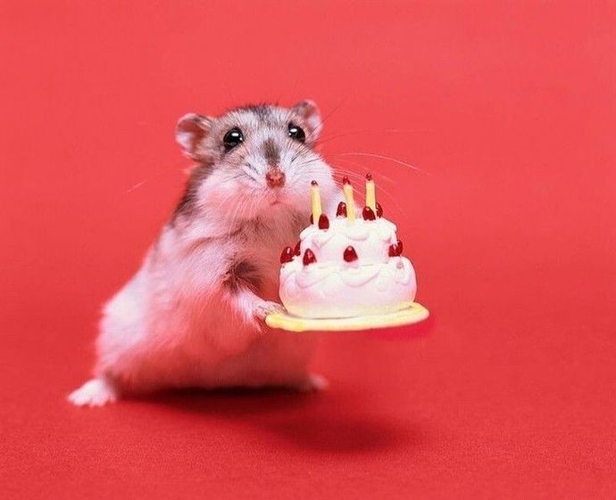 How should I respond to a dumper who wished me a happy birthday?