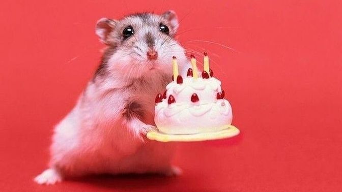 How should I respond to a dumper who wished me a happy birthday?