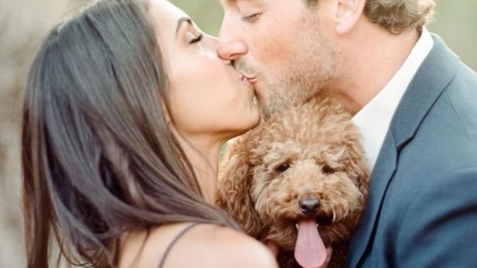 Have you ever missed your boyfriend's/girlfriend's pet after a break up?
