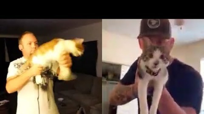 Have you ever fired your cat like a gun?