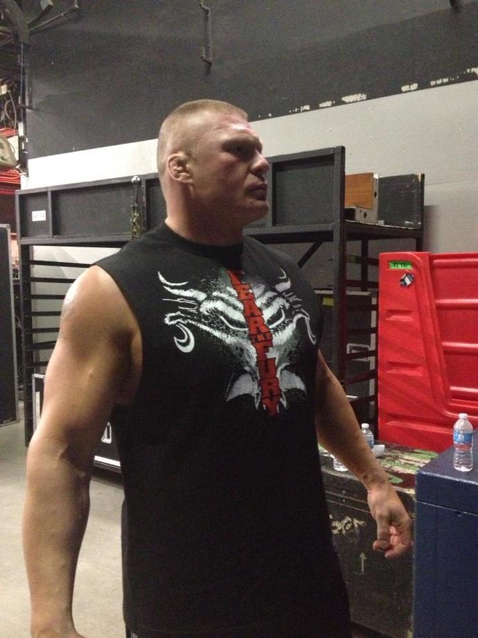 Is achieving a Brock Lesnar similar physique possible?