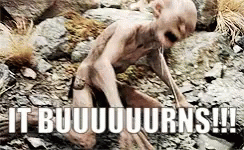Me, 5 seconds after walking outside