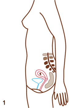 Ladies, do you feel lied to about pregnancy by grown ups?
