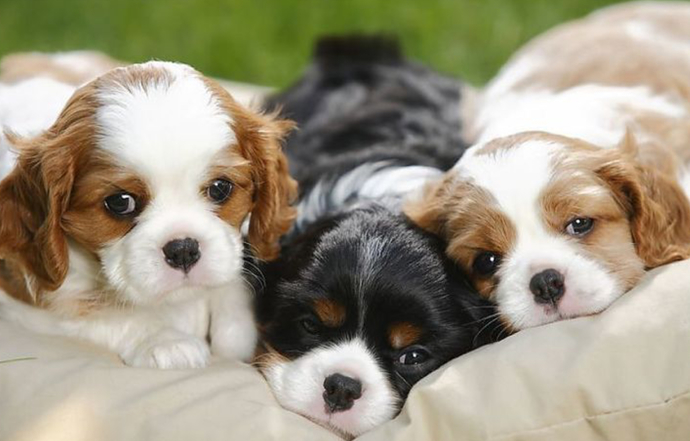 Three Is A Good Number.