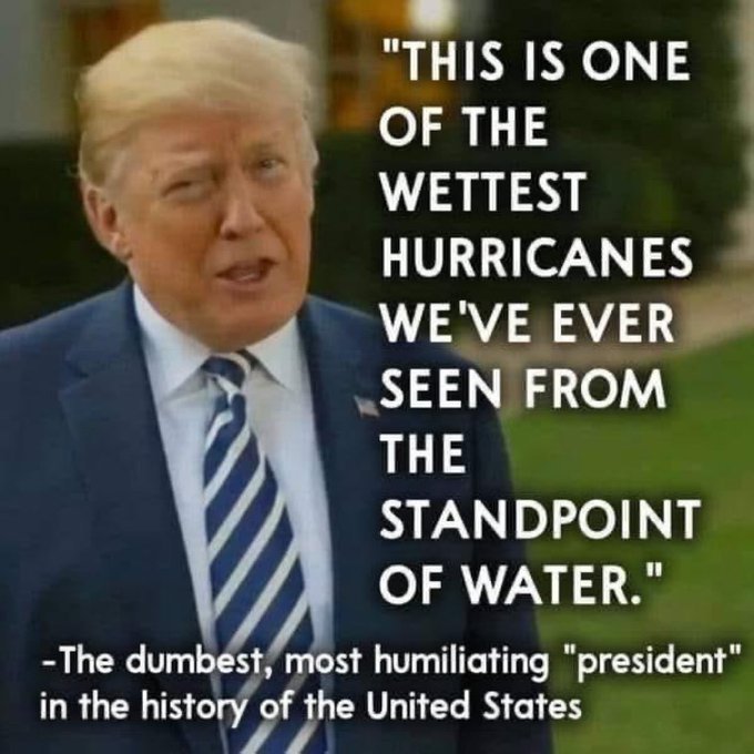 How do you feel about Trump?