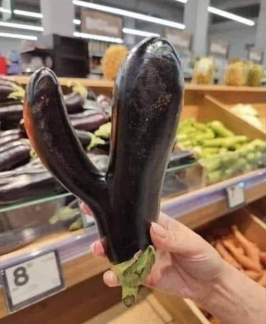 Do you think this aubergine will get eaten?