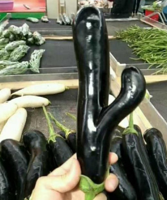 Do you think this aubergine will get eaten?