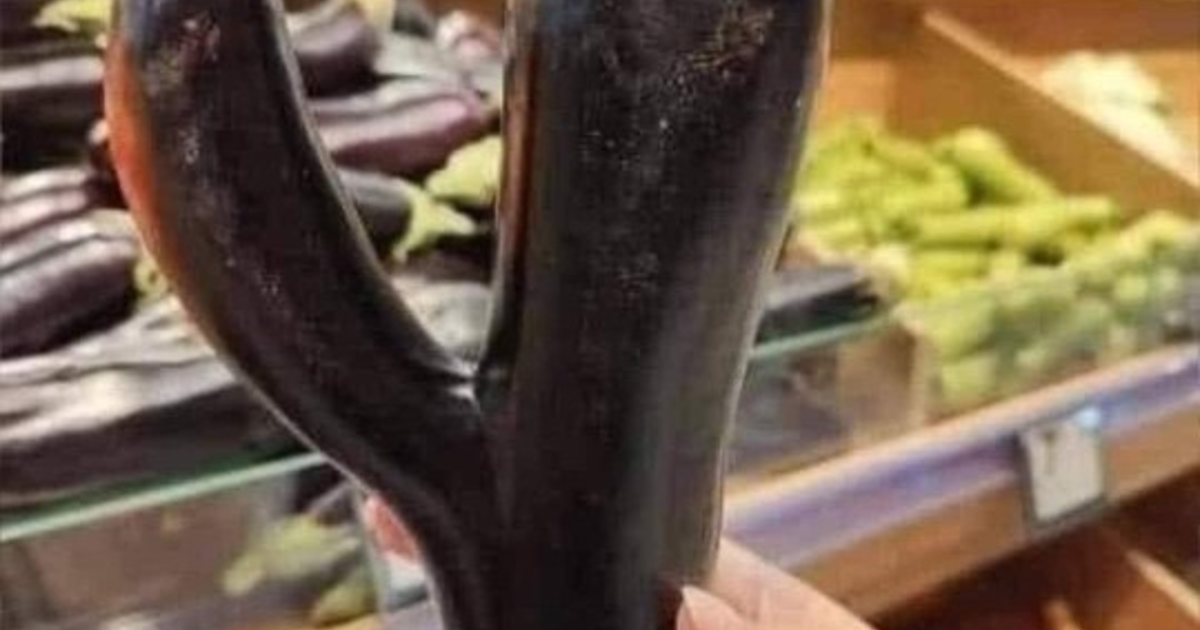 Do you think this aubergine will get eaten? GirlsAskGuys