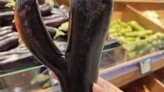 Do you think this aubergine will get eaten?