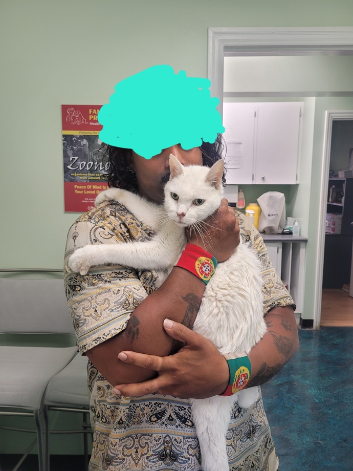 Did any of you had to say goodbye to a family pet. How long did it take to get over your grief?