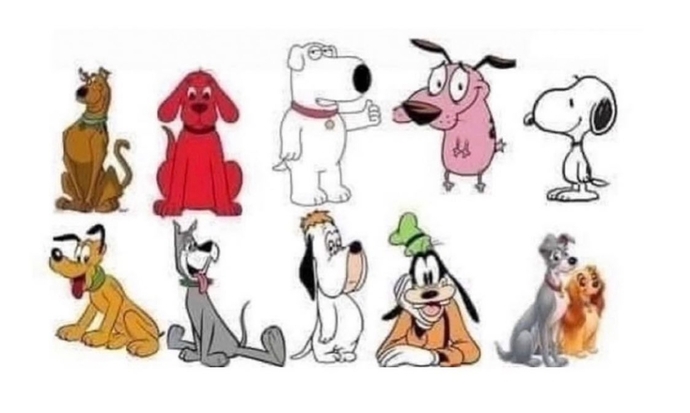 You can only pick one dog, who do you choose?