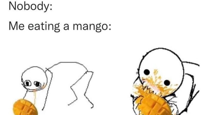Do you like mangoes? Why/why not?