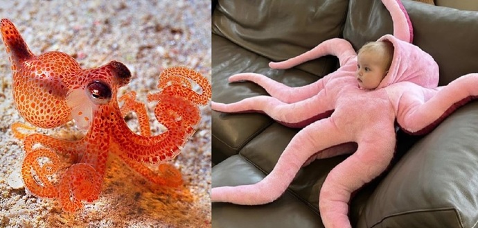Which do u prefer? VOTE!