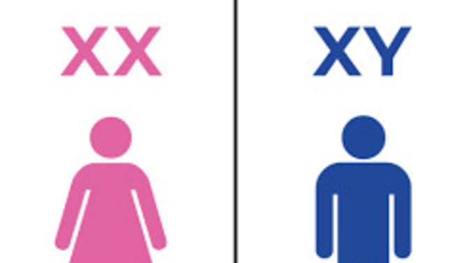 What's your opinion of the non-bianary argument and allowing people that claim it or being transgender to participate in female sports?