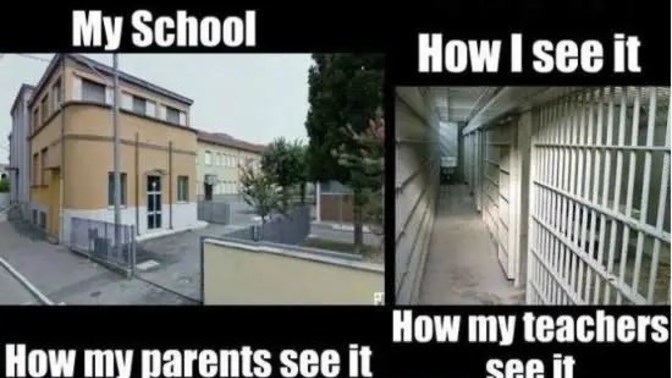 School is a waste of time! What were the boomers doing in school, that they loved it so much?