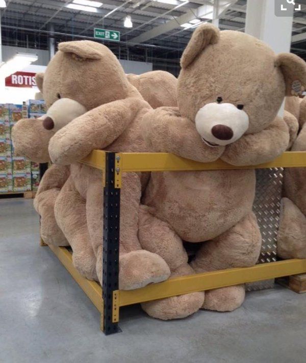 Is it a good idea to take things slowly with a crush?