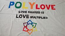Has anyone been in an open or poly relationship?