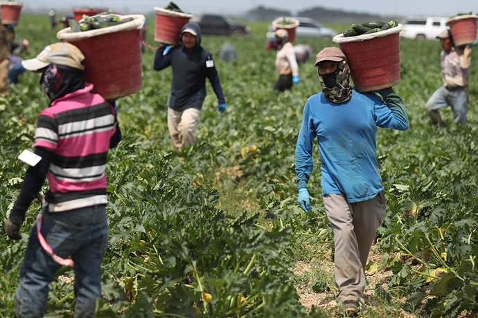 Guys, What would happen if illegals were allowed to have any job? Even government jobs?