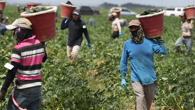 Guys, What would happen if illegals were allowed to have any job? Even government jobs?