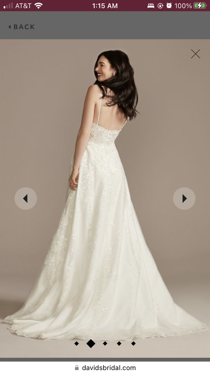 What is your favorite style of wedding dress?