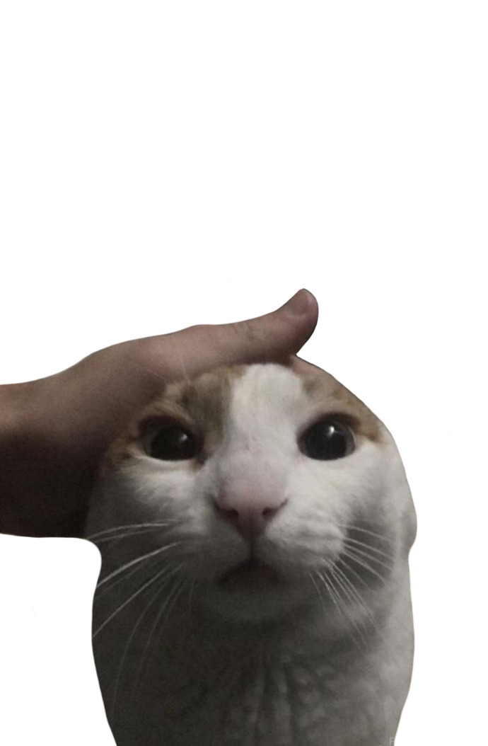 Is my cat cute?