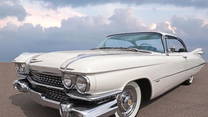 If you could get any car which one would you choose?