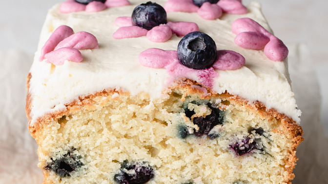 Blueberry Edition: Which one would you eat?